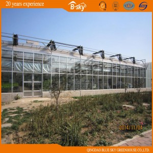 Beautiful Venlo Type Green House with Film Roof
