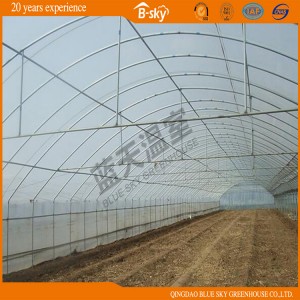 High Cost Performance Film Greenhouse