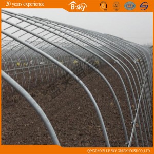China Supplier Tunnel Green House for Vegetable Planting