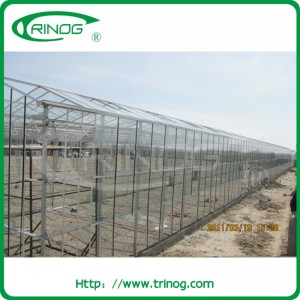 Venlo glass greenhouse for flowers growing