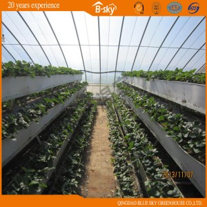 Long Life-Span Vegetable Planting Helio-Greenhouse with Film Covered