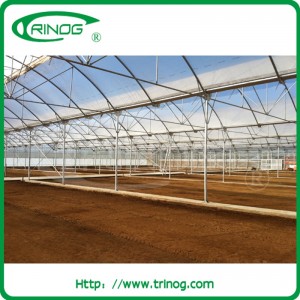 European Style Garden Film Greenhouse for Vegetables