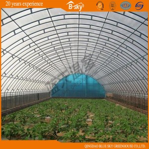 High Cost Performance Hoop Green House with Hot Galvanized Frame