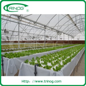 High light transmission greenhouse for herb growing