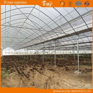 High Yield Plastic Film Greenhouse with Mluti-Span Structure