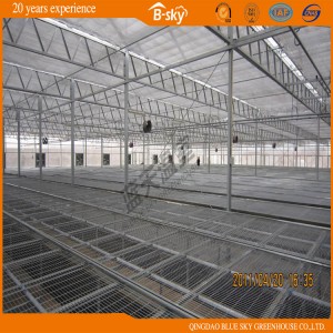 20mm Transparent Commercial Plastic Large Small Polycarbonate PC Sheet Greenhouse