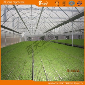 High Quality Plastic Film Greenhouse with Mluti-Span Structure