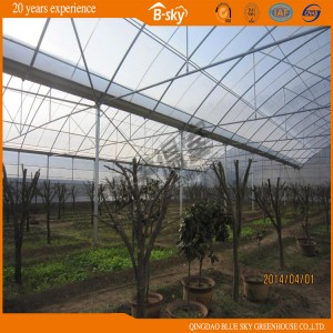 Arch Structure Multi-Span Film Green House for Planting