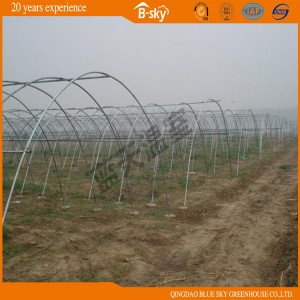Popular Hoop Green House with Hot Galvanized Frame