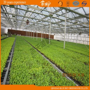 High Quality Long Life Span Polycarbonate Multi-Span Greenhouse