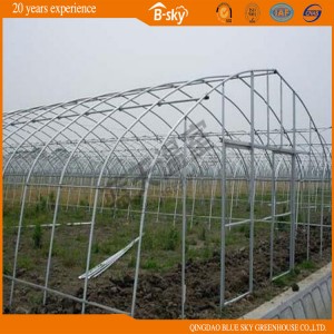 Hot Sale Tunnel Greenhouse for Vegetable Planting