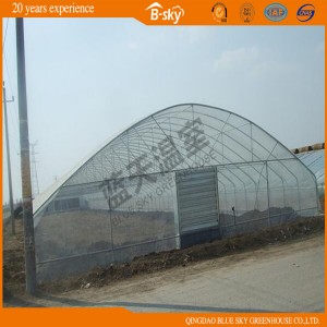 Tunnel Greenhouse for Vegetable Planting China Supplier