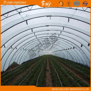 Popular Arch Greenhouse for Vegetable Planting