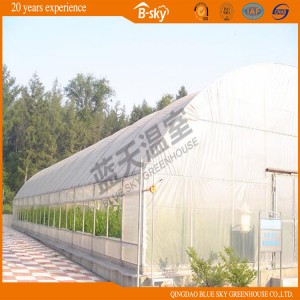 Low Cost Arch Greenhouse with Galvanized Steel Frame