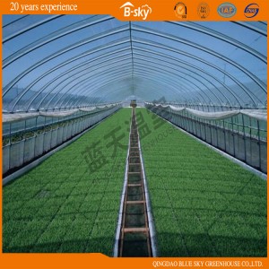 Hot Sale Arch Greenhouse for Vegetable Planting