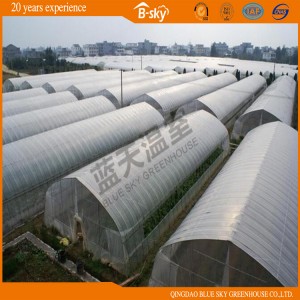 High Tunnel Film Covered Greenhouse
