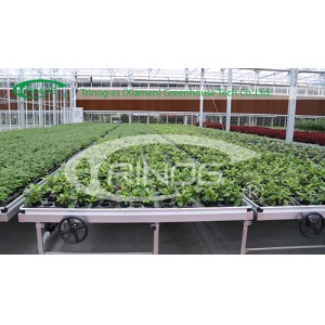 Multi-Span High-End Glass Greenhouse