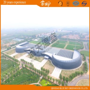 Glass Greenhouse for Planting Vegetables&amp;Fruits