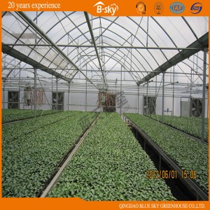 Good Appearance Plastic Film Multi-Span Greenhouse