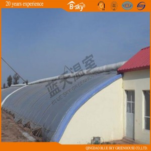 Commercial Flower Vegetable Solar Greenhouse