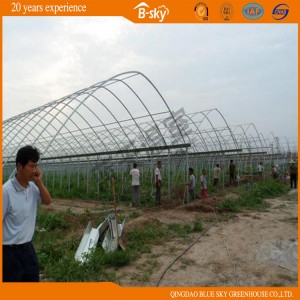 Good Heat Insulation Solar Green House for Strawberry Growing