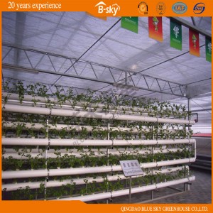 High Quality PC Board Greenhouse Venlo Structure