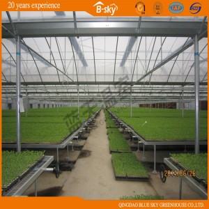 Hot Sale Gutter-Connect Greenhouse China Supplier