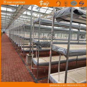 Film Multi-Span Greenhouse China Supplier