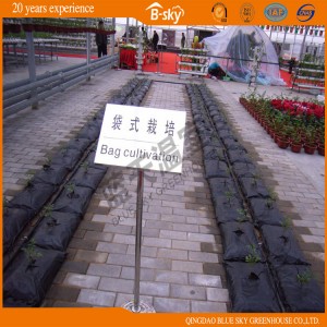 Polycarbonate Sheet Multi-Span Green House