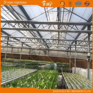 Good Look Agricultrual Planting Glass Green House