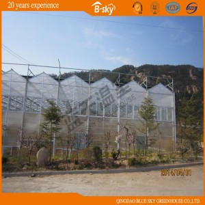 PC Sheet Greenhouse for Vegetable Planting