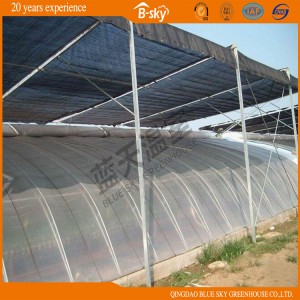 High Cost Performance Solar Green House for Winter Use