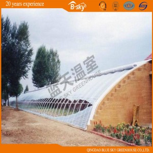 Extensively Used Solar Greenhouse China Supplier