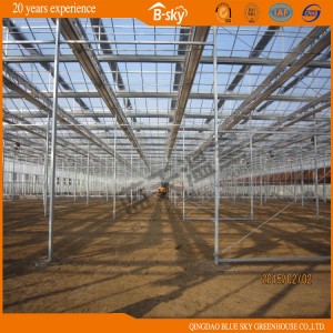 High Yield Multi-Span Glass Greenhouse