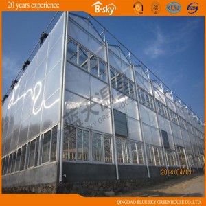 Good Look PC Sheet Greenhouse for Vegetable Planting