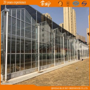 Good Appearance Multi-Span Glass Greenhouse