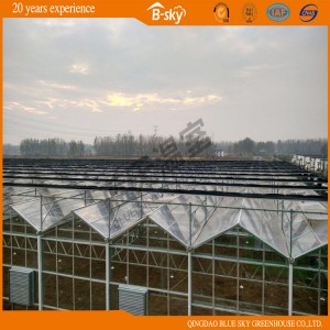 Beautiful Venlo Type F-Clean Film Roof Glass Wall Green House