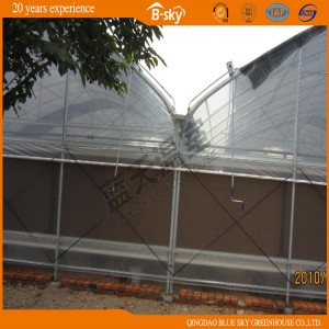 Gutter Connected Greenhouse with Po Film Covered