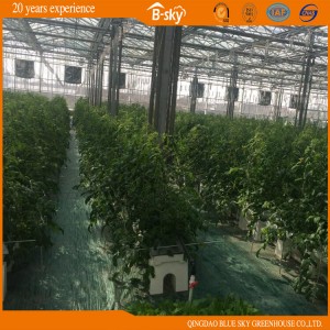 China Supplier High Quality Glass Green House