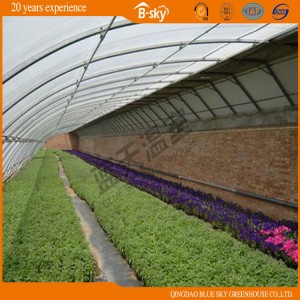 China Supplier Solar Green House for Winter Use