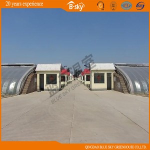 Hot Sale Solar Green House for Winter Use