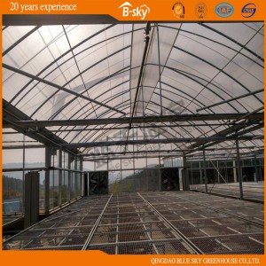 Multipurpose Imported F-Clean Film Green House