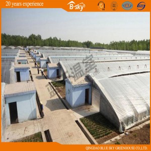 High Yield Solar Greenhouse for Strawberry Growing