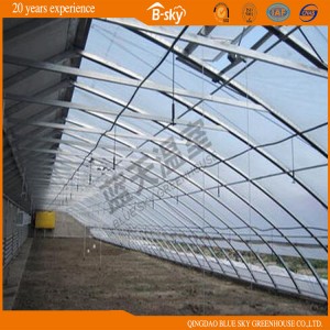 Low Cost Solar Greenhouse for Vegetable Planting