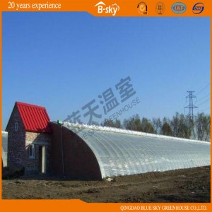 High Quality Plastic Film Solar Greenhouse for Vegetable Planting High Quality Plastic Film Solar Greenhouse for Vegetable Planting