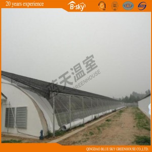 China Supplier Commercial Flower Vegetable Solar Greenhouse