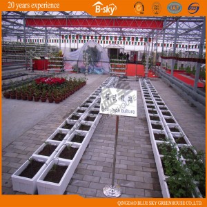 Long Life-Span Polycarbonate Sheet Multi-Span Venlo Type Greenhouse