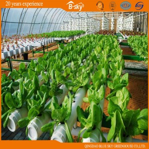 High Output Solar Green House for Strawberry Growing