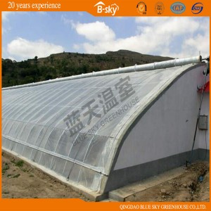 High Production Film Solar Green House for Vegetable Planting