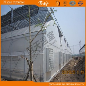 High Yield Multi-Span Plastic Film Agricultural Green House